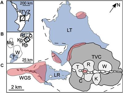 Understanding Degassing Pathways Along the 1886 Tarawera (New Zealand) Volcanic Fissure by Combining Soil and Lake CO2 Fluxes